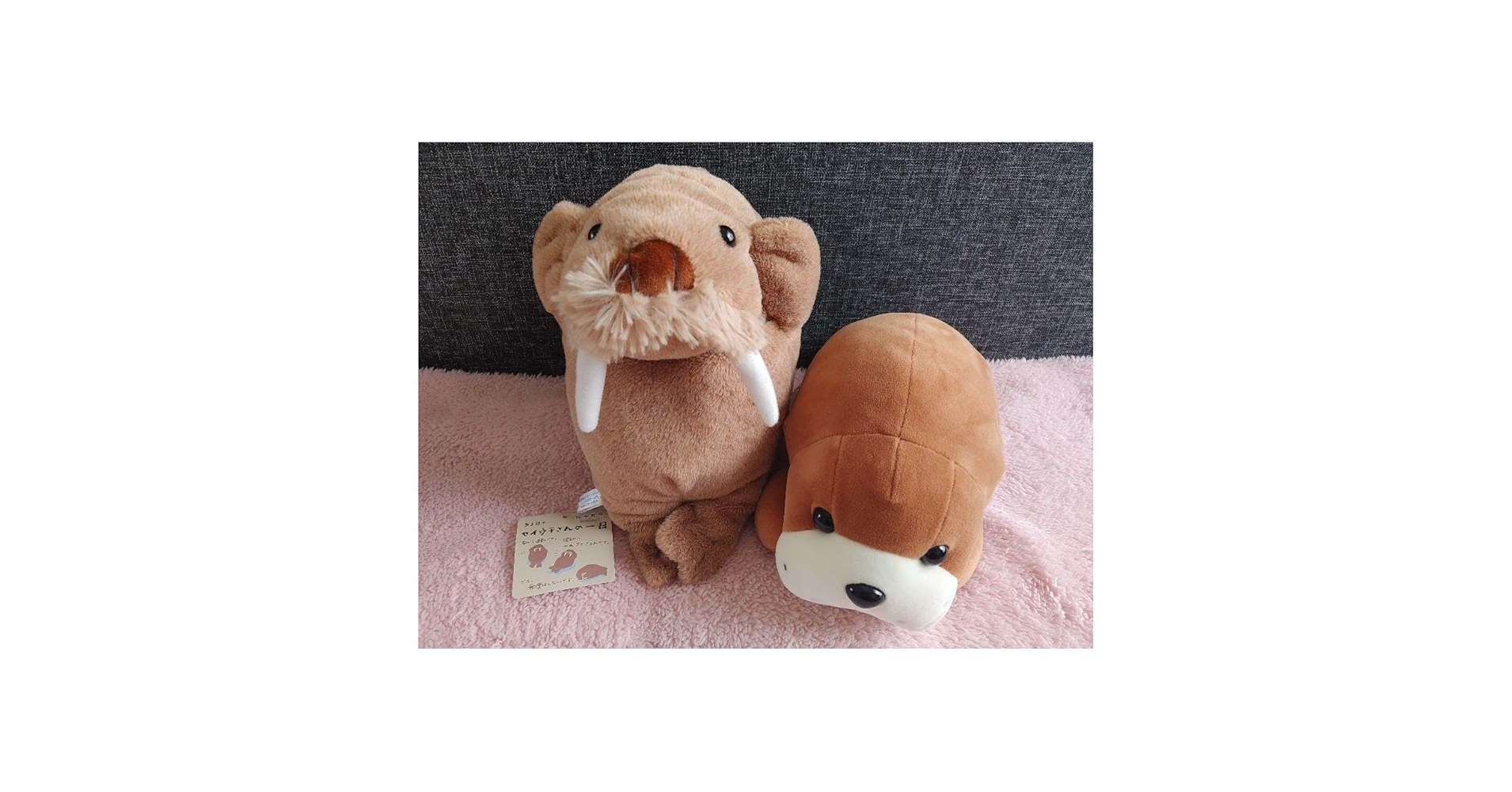 レア品　sweet pool 崎山蓉司　城沼哲雄　Gift製　ぬいぐるみセット レア品 sweet pool 崎山蓉司 城沼哲雄 Gift製 ぬいぐるみセット
